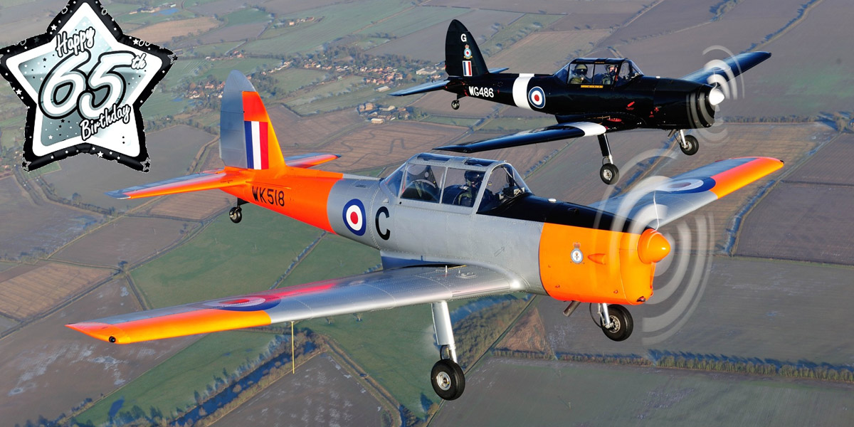 BBMF Chipmunks